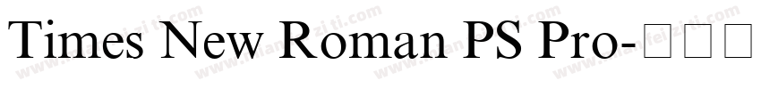 Times New Roman PS Pro字体转换